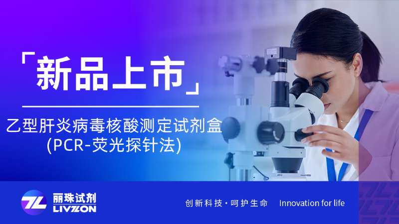 新品速報(bào) | 乙型肝炎病毒核酸測定試劑盒(PCR-熒光探針法)全新上市！